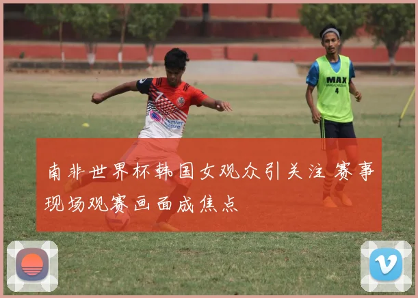 南非世界杯韩国女观众引关注 赛事现场观赛画面成焦点